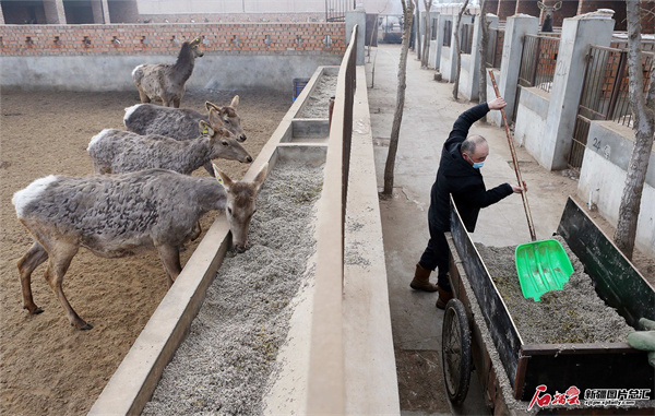 1706590820535530.jpg 5f2f4108577845ef9b6f0d32b70ad5ff.jpg