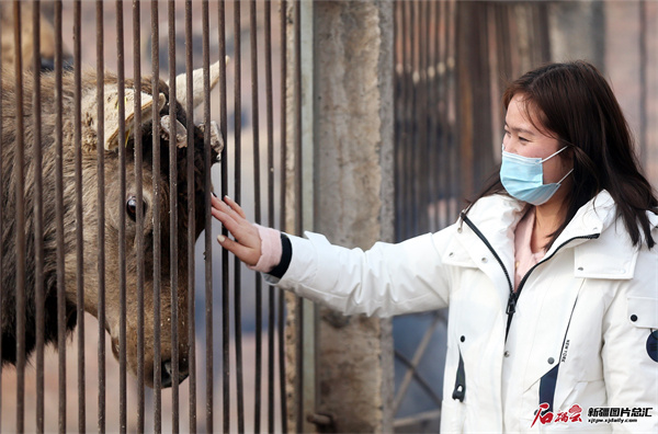 1706590907103685.jpg d08d811ab9fe49d3ab706d913964f753.jpg