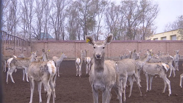 1706591219787696.jpg 640.jpg