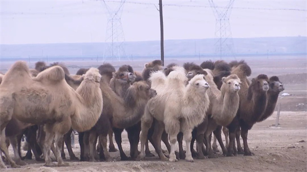 1706591360116870.jpg 640 (4).jpg