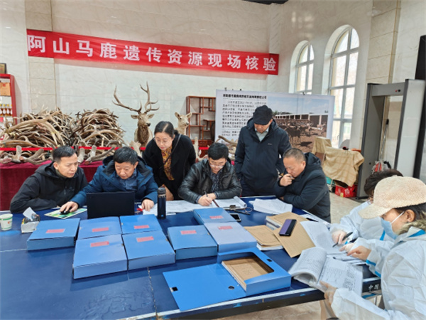 1706593137649048.jpg 20231212170925796002.jpg