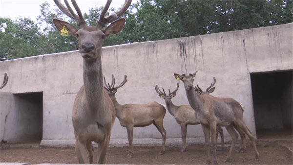 1722223694933273.jpg 44.jpg