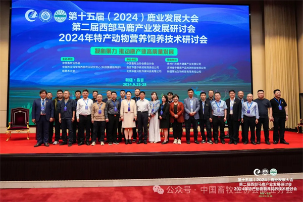 1727577463648101.jpg 33.jpg