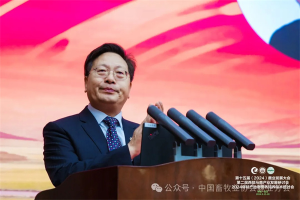 1727577474618667.jpg 44.jpg