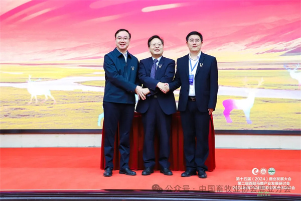 1727577528125364.jpg 110.jpg