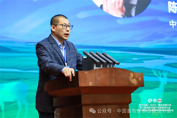 1727577544870231.jpg 120.jpg